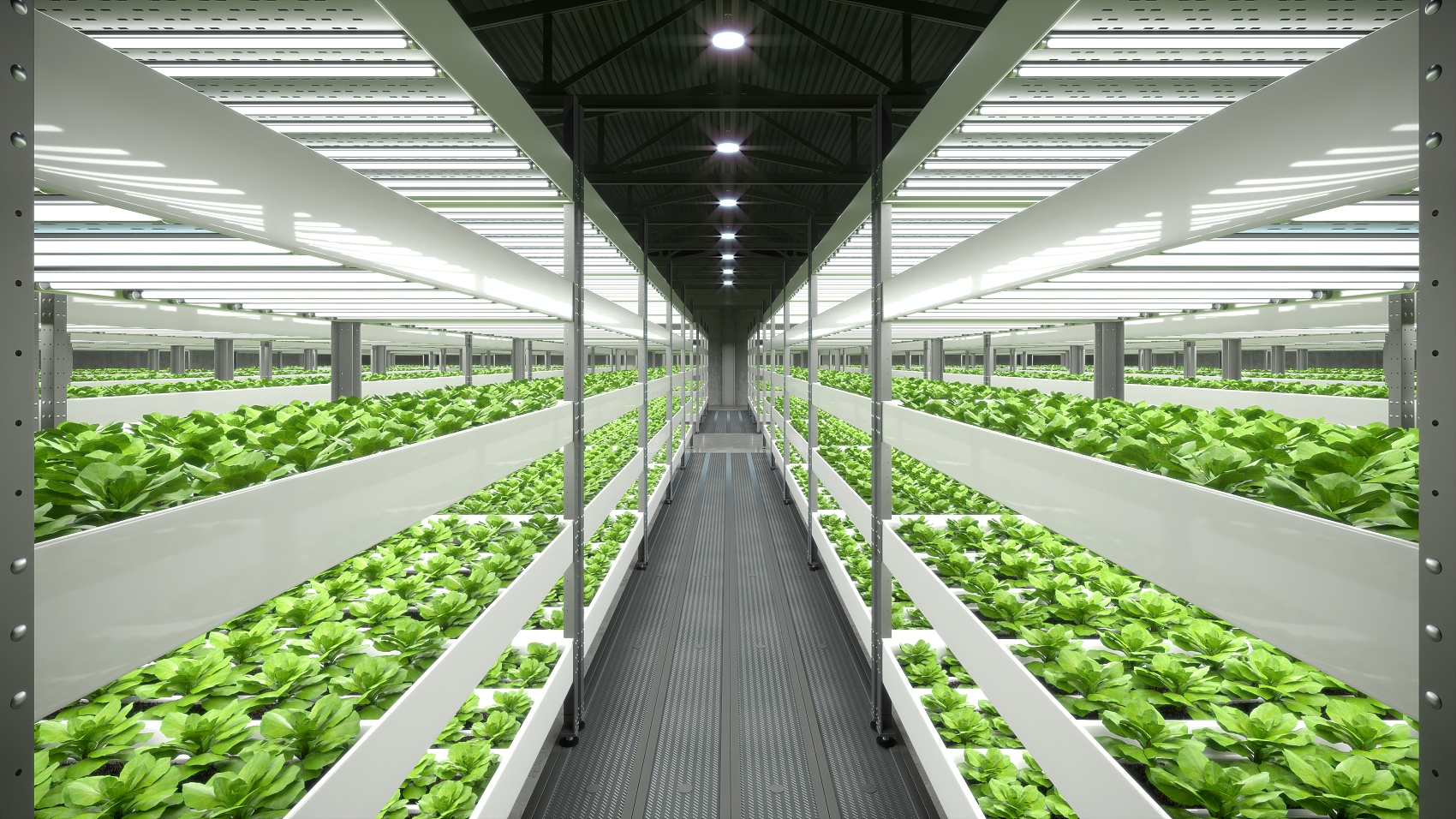Smart Greenhouse